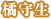 橘守生